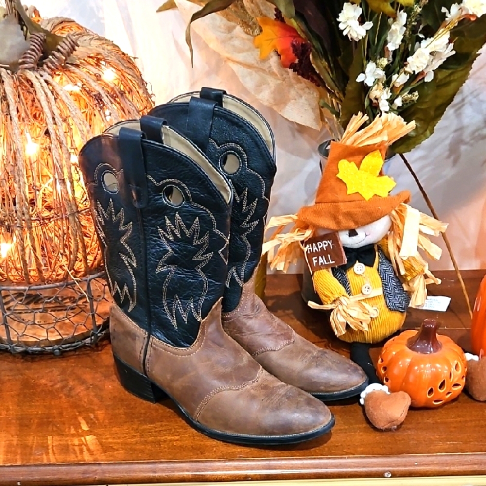 Dan Post Cowboy Boots Sz 5½ EUC